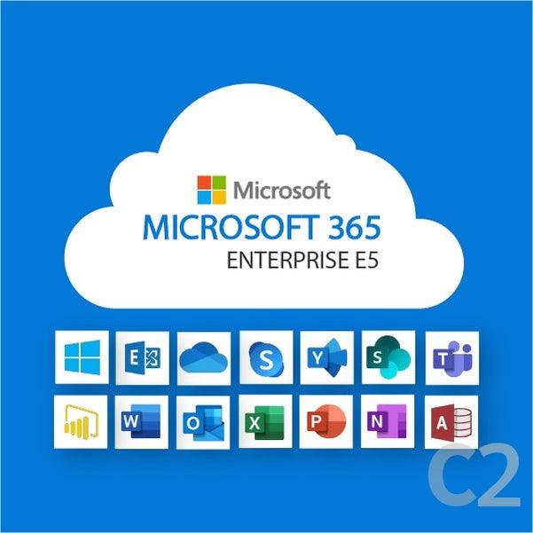 Microsoft 365 E5 - C2 Computer